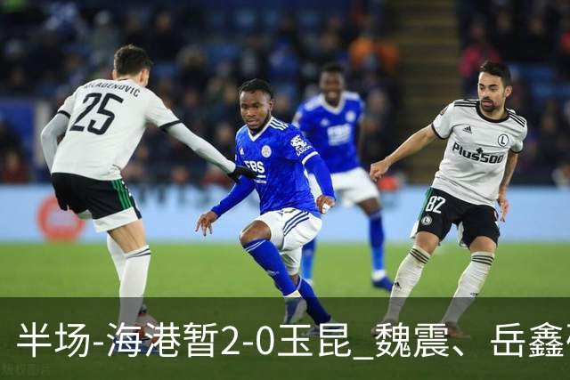 半场-海港暂2-0玉昆 魏震、岳鑫破门梅伦多献助攻 双方各一球被吹