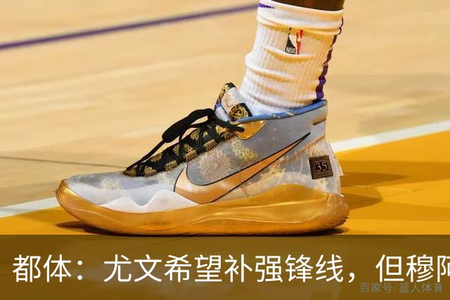 都体：尤文希望补强锋线，但穆阿尼和佩莱格里诺只能二选一