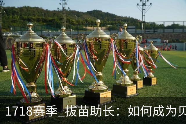 17/18赛季 拔苗助长：如何成为贝林厄姆的队友